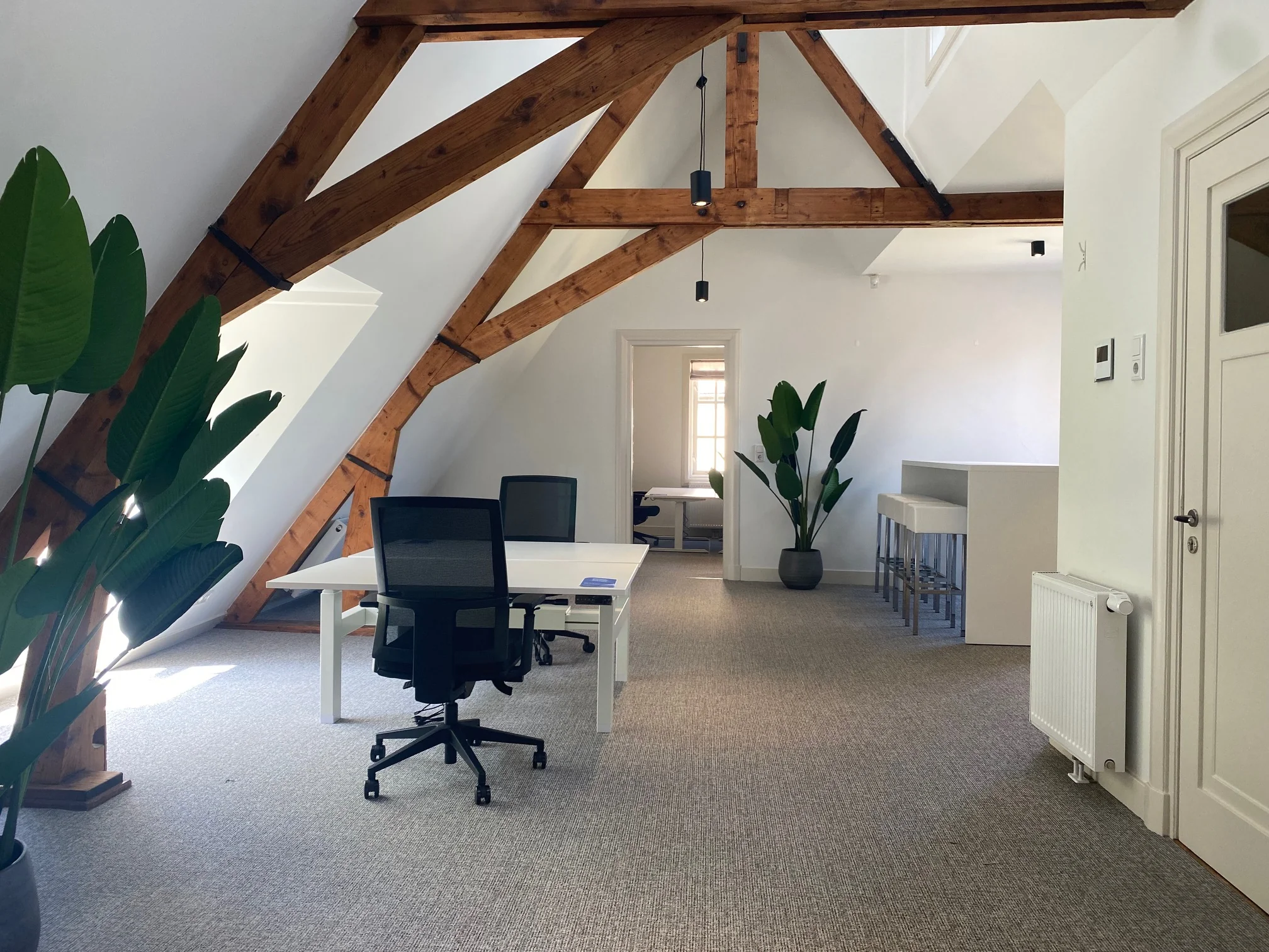 Modern kantoor op de Kleine Houtweg met houten balken, werkplekken en grote planten.